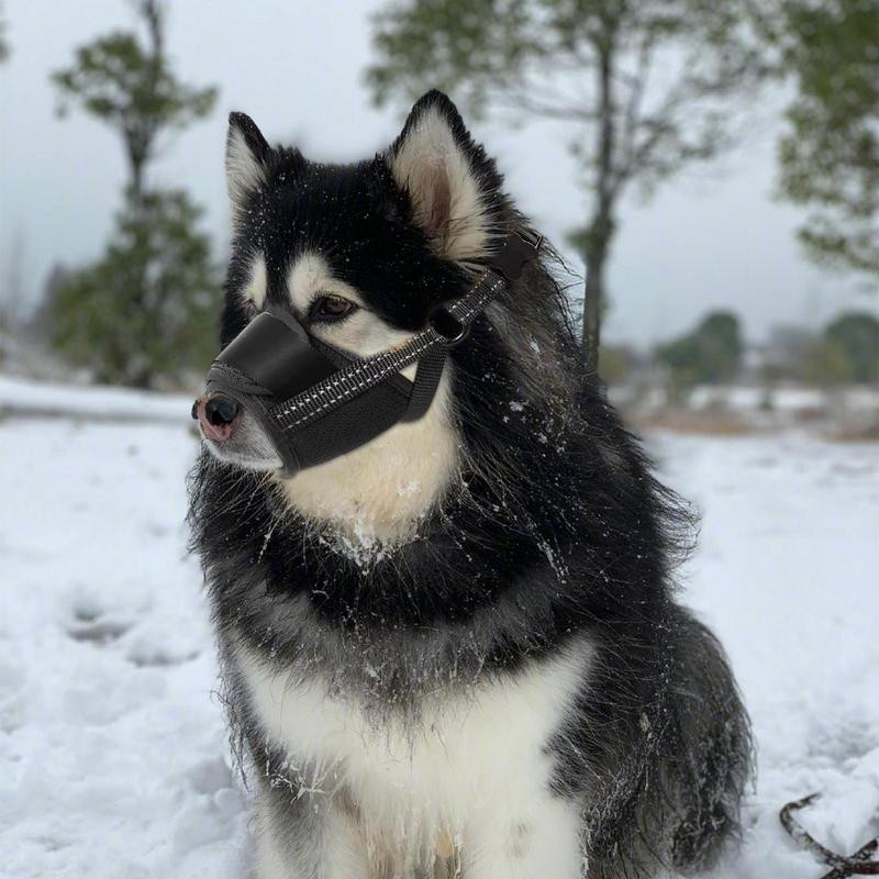 Pehme polüestrist koera koon haukumisvastane treening lemmiklooma suu maski rakmed väikesele suurele koerale, mis takistab hammustamist reguleeritav nöör