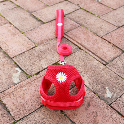 Έλεγχος ασφαλείας Nylon Air Mesh λουρί σκύλου με μαλακή επένδυση λουρί λαβής για μικρά σκυλιά Ρυθμιζόμενο λουρί Chihuahua York Puppy