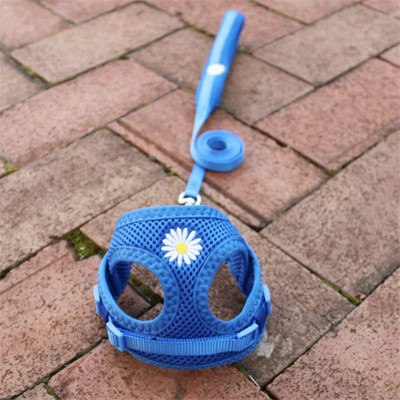 Έλεγχος ασφαλείας Nylon Air Mesh λουρί σκύλου με μαλακή επένδυση λουρί λαβής για μικρά σκυλιά Ρυθμιζόμενο λουρί Chihuahua York Puppy