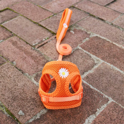 Έλεγχος ασφαλείας Nylon Air Mesh λουρί σκύλου με μαλακή επένδυση λουρί λαβής για μικρά σκυλιά Ρυθμιζόμενο λουρί Chihuahua York Puppy