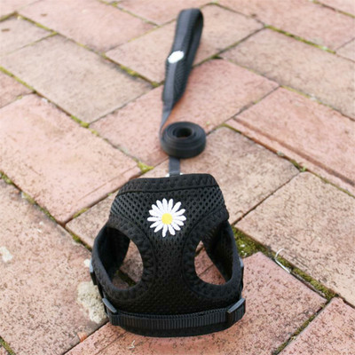 Έλεγχος ασφαλείας Nylon Air Mesh λουρί σκύλου με μαλακή επένδυση λουρί λαβής για μικρά σκυλιά Ρυθμιζόμενο λουρί Chihuahua York Puppy