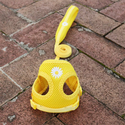 Έλεγχος ασφαλείας Nylon Air Mesh λουρί σκύλου με μαλακή επένδυση λουρί λαβής για μικρά σκυλιά Ρυθμιζόμενο λουρί Chihuahua York Puppy