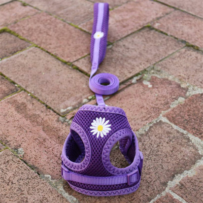 Έλεγχος ασφαλείας Nylon Air Mesh λουρί σκύλου με μαλακή επένδυση λουρί λαβής για μικρά σκυλιά Ρυθμιζόμενο λουρί Chihuahua York Puppy