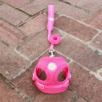 Έλεγχος ασφαλείας Nylon Air Mesh λουρί σκύλου με μαλακή επένδυση λουρί λαβής για μικρά σκυλιά Ρυθμιζόμενο λουρί Chihuahua York Puppy