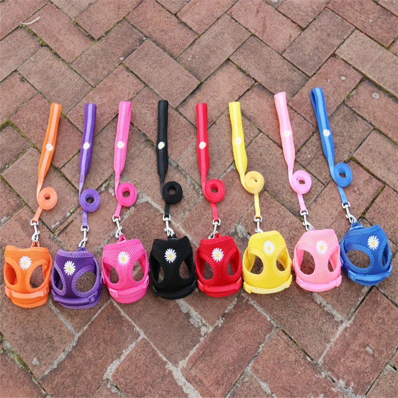 Έλεγχος ασφαλείας Nylon Air Mesh λουρί σκύλου με μαλακή επένδυση λουρί λαβής για μικρά σκυλιά Ρυθμιζόμενο λουρί Chihuahua York Puppy