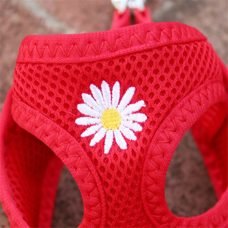 Έλεγχος ασφαλείας Nylon Air Mesh λουρί σκύλου με μαλακή επένδυση λουρί λαβής για μικρά σκυλιά Ρυθμιζόμενο λουρί Chihuahua York Puppy