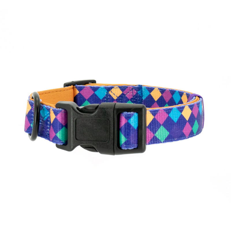 Collarlogo Ρυθμιζόμενο κολάρο για σκύλους κατοικίδιων ζώων Ανθεκτικό μαλακό, δημιουργικό νέον με λουρί με λουρί με επένδυση από νεοπρένιο λουρί για τσάντες κακών