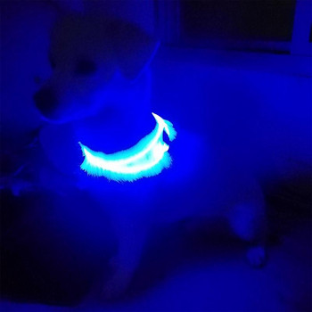 Регулируем LED нашийник за домашни любимци Светещи предпазни нашийници за домашни любимци Водоустойчива мигаща светлина Нашийник за кучета Нашийник за колани за кучета
