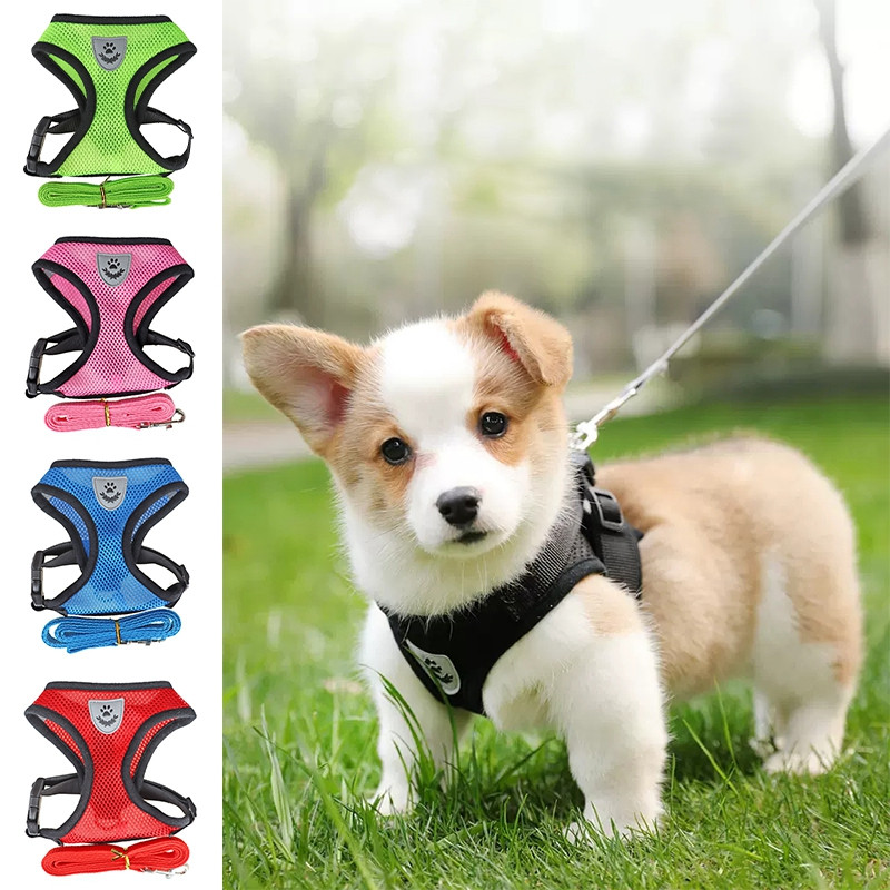 Ρυθμιζόμενο γιλέκο για σκύλους γάτα.