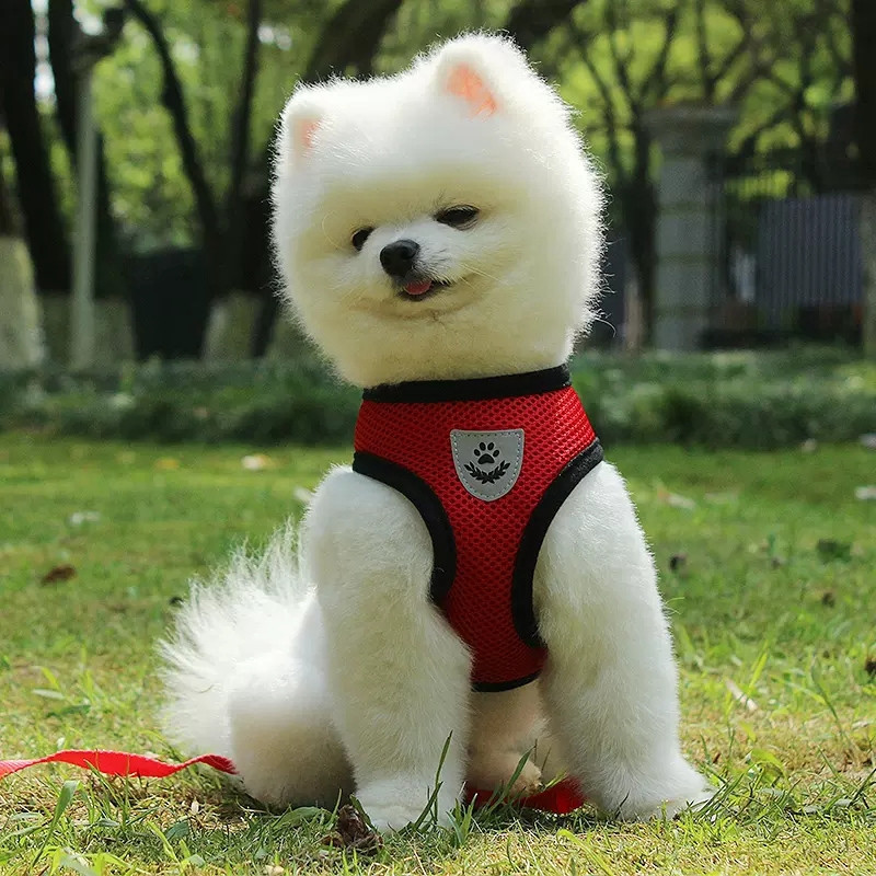 Ρυθμιζόμενο γιλέκο για σκύλους γάτα.