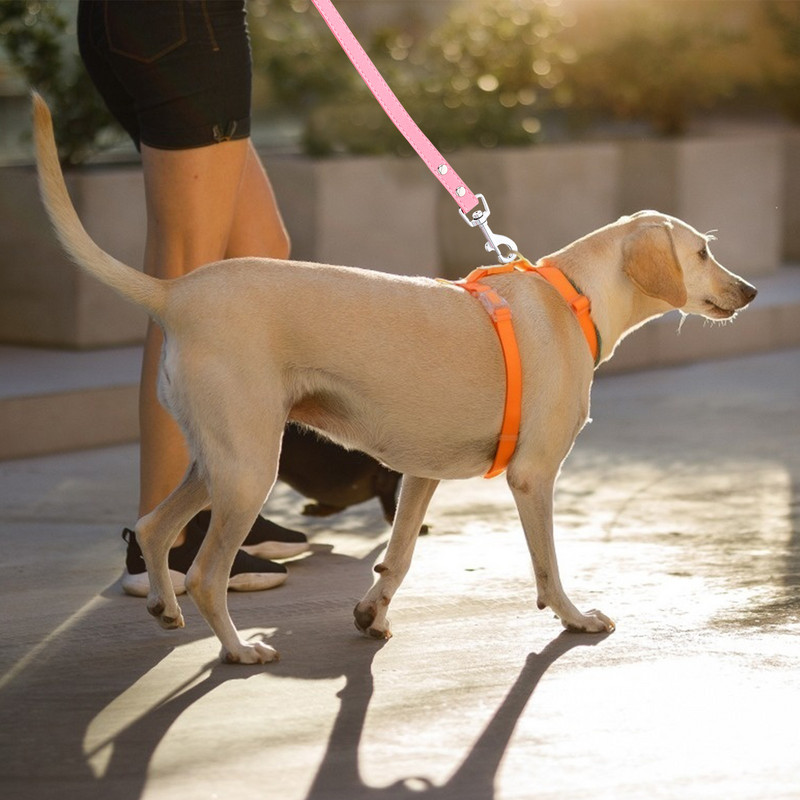 Animal de companie Zgarda Diamond Heavy Duty câine roz coliere guler microfibră Călătorie câini de talie mică