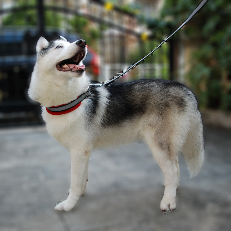 Ogrlica za pse, povodac za kućne ljubimce, podesiva mreža, podstavljena ogrlica, olovo, reflektirajuća točkica, prozračna ogrlica za velike pse, njemački ovčar