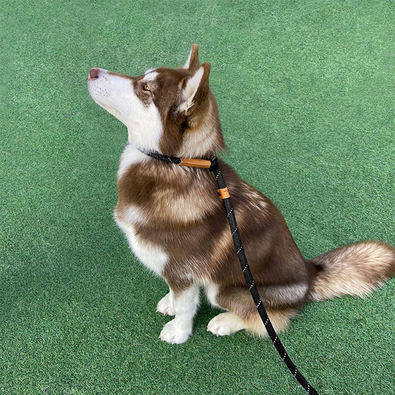 Nailon, lungime 1,5 m, lesă pentru animale de companie, dresaj în aer liber, lesă pentru câini reflectorizante, cataramă cu lanț din metal, centură de guler reglabilă pentru mici mari