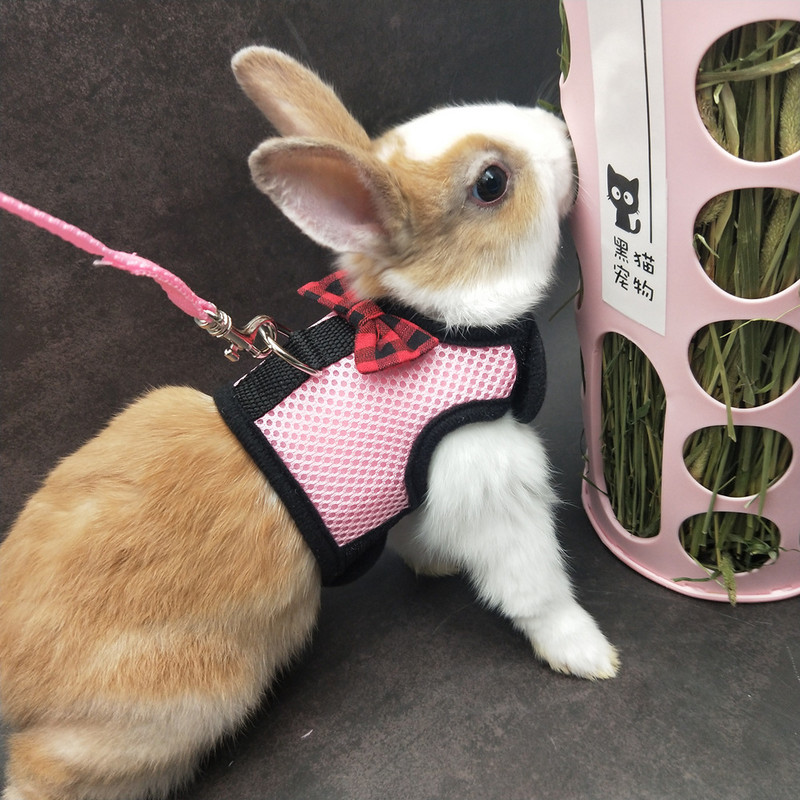 Uus väikeloomade rakmete jalutusrihma komplekt hamstritele jänestele jänkutuhkur Guinea hingav võrgust koerarakmed lemmikloomadele vestid lemmikloomatarbed