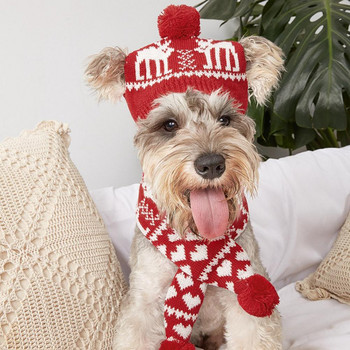 2 τμχ/Σετ καπέλο Άγιου Βασίλη με κασκόλ Φιλικό προς το δέρμα ελάφι/μοτίβο χιονονιφάδας από ακρυλικές ίνες Χριστουγεννιάτικο πλεκτό καπέλο μαντήλι σκύλου S