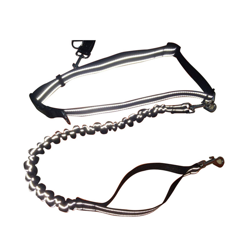 Λουριά μεσαίου μεγέθους σκυλιά μεγάλης μέσης ράτσας για τρέξιμο Walking Cinturon De Para