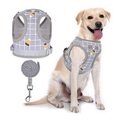 Σετ λουριών και λουριών με αναπνέον διχτυωτό γιλέκο Ρυθμιζόμενο αντανακλαστικό λουρί για μικρούς σκύλους Αξεσουάρ σκυλιών με κολάρο κατοικίδιων ζώων