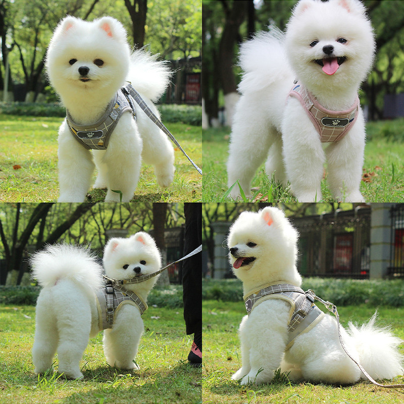 Σετ λουριών και λουριών με αναπνέον διχτυωτό γιλέκο Ρυθμιζόμενο αντανακλαστικό λουρί για μικρούς σκύλους Αξεσουάρ σκυλιών με κολάρο κατοικίδιων ζώων