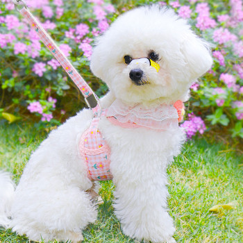 1/ Σετ λουριών λουριών χαριτωμένου σκύλου με νάιλον λουρί για κουτάβι για σκύλο, ρυθμιζόμενο λουρί στήθους για μικρούς μεσαίους σκύλους