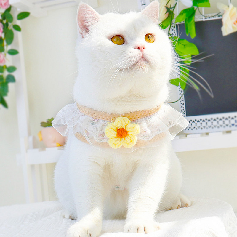 1/ Σετ λουριών λουριών χαριτωμένου σκύλου με νάιλον λουρί για κουτάβι για σκύλο, ρυθμιζόμενο λουρί στήθους για μικρούς μεσαίους σκύλους