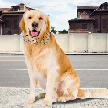 Μεταλλικά περιλαίμια αλυσίδας εκπαίδευσης σκύλων Κολιέ από ανοξείδωτο σίδηρο με καπέλα από καουτσούκ Ασφαλές για κουτάβια Μικρά μεσαία μεγάλα σκυλιά Αξεσουάρ