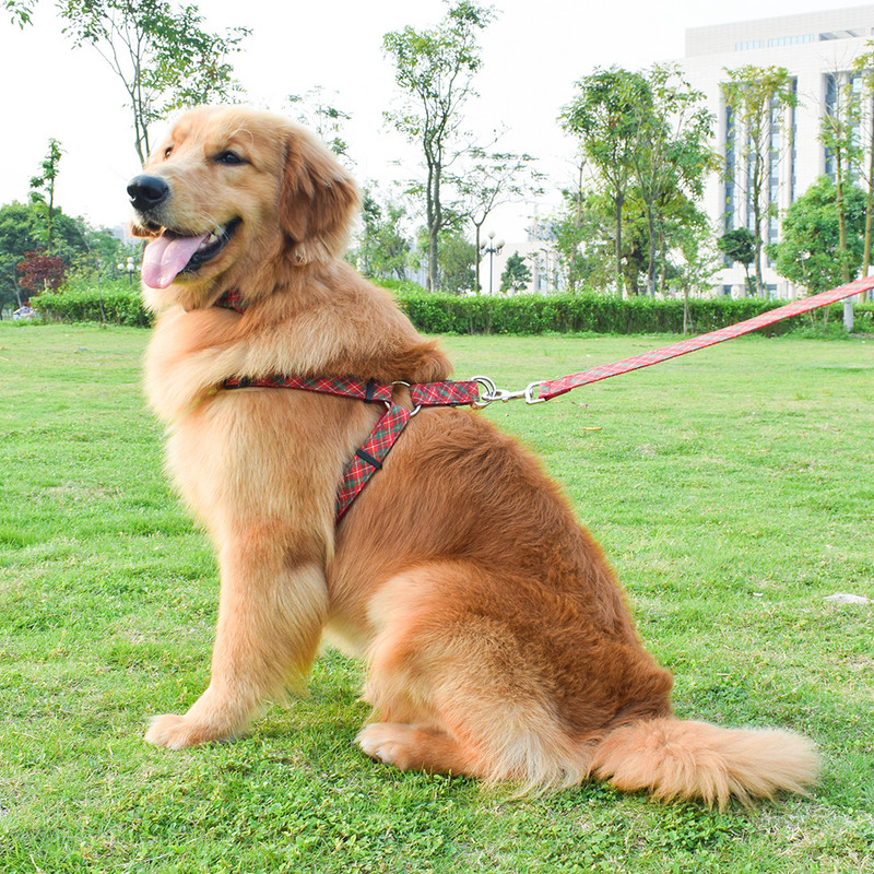 Υψηλής ποιότητας Nylon καρό Χριστουγεννιάτικη σειρά Σετ λουριών για κατοικίδια μικρού και μεσαίου μεγέθους