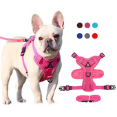 Σετ λουριών και λουριών με αντανακλαστικό πλέγμα για κουτάβι για στήθος λουράκι για σκύλους γάτες Αναπνεύσιμο ρυθμιζόμενο περπάτημα σε εξωτερικό χώρο