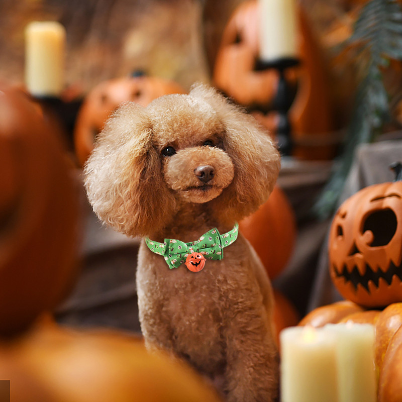 Guler de Halloween pentru câini