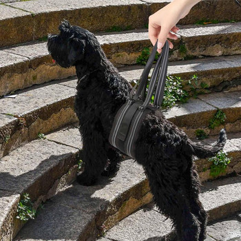 Ρυθμιζόμενη σφεντόνα πλάτης σκύλου Αξεσουάρ στήριξης ισχίου για κατοικίδια ζώα για βοήθημα σκύλων και αποκατάσταση συνδέσμων Προμήθειες ανύψωσης σκύλων
