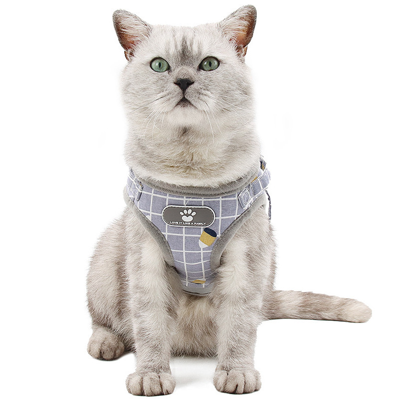 Μικρό λουρί για σκύλο με ανακλαστικό διχτυωτό πλέγμα με λουρί Pug Chihuahua French Bulldog arnes perro Κολάρο με λουρί για γιλέκο για κουτάβι