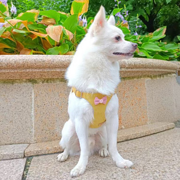 Модни колани за домашни любимци за малки кучета Френски булдог Чихуахуа Аксесоари за кученца Леки колани за кучета и каишка за разходки талисмани