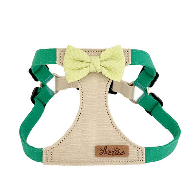 Ham de modă pentru animale de companie pentru câini de talie mică, buldog francez, chihuahua, accesorii pentru căței, hamuri ușoare pentru câini și lesă pentru animale de plimbare