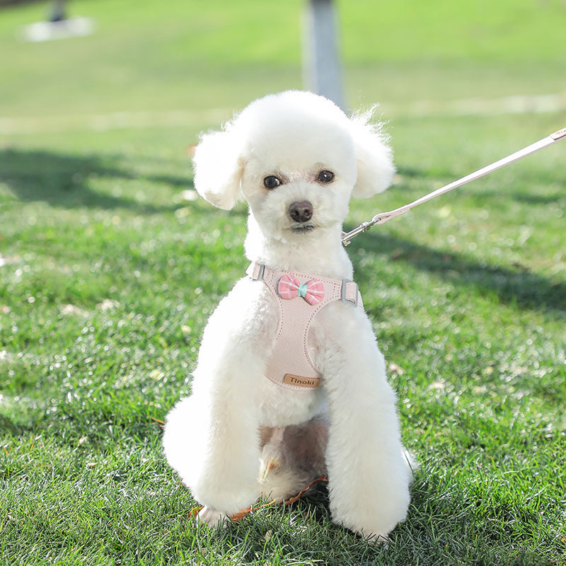 Ham de modă pentru animale de companie pentru câini de talie mică, buldog francez, chihuahua, accesorii pentru căței, hamuri ușoare pentru câini și lesă pentru animale de plimbare