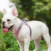 Vesti rakmed väikestele koertele Peegeldavad hingavad reguleeritavad koerarakmed Vesti rinnaköie komplekt Lemmikloomatarvikute tarvikud