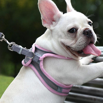 Ζελέ γιλέκου για μικρούς σκύλους Ανακλαστικό αναπνεύσιμο ρυθμιζόμενο λουρί για σκύλο Σετ σχοινιού στήθος Σετ προμήθειες για κατοικίδια αξεσουάρ