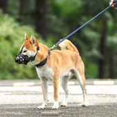 Ρυθμιζόμενο ρύγχος Medium Dogs Anti-Bark Head Pet Anti-bark Μικρό φορητό μεγάλο