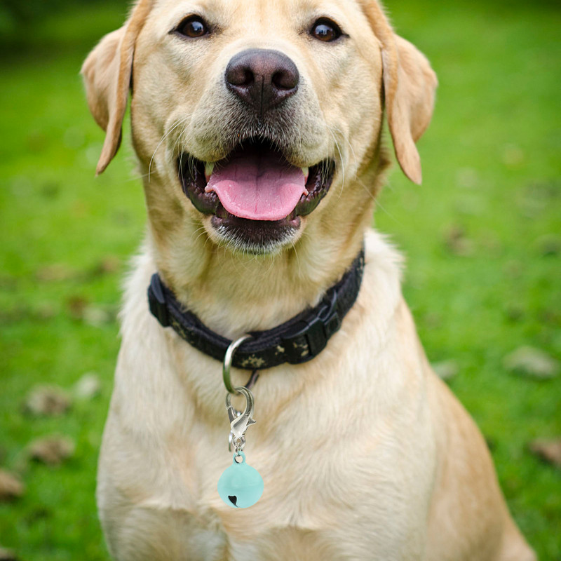 10 buc. zgarda pentru animale de companie, clopote compacte pentru pisici, colier decorativ delicat, mini, delicat, multifuncțional, realizat din metal