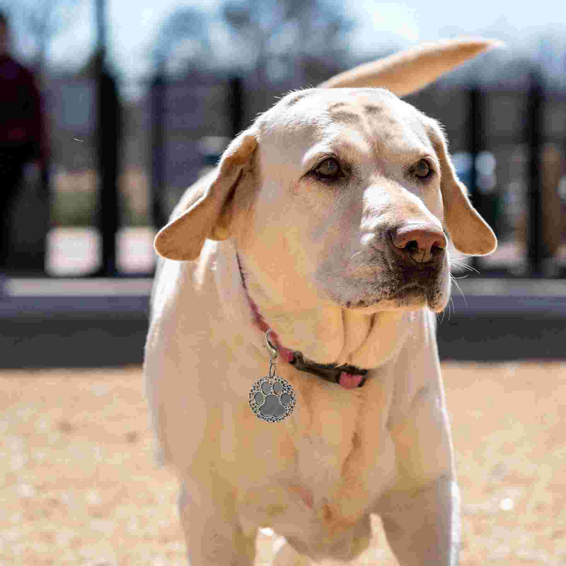 Καταχώριση κατοικίδιων Ετικέτα ονόματος κουταβιού Γράμματα κατοικιδίων DIY Ετικέτες σκύλου Χαραγμένο Χάλκινο Προσαρμοσμένο Γάτα
