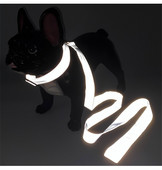 Țesătură reflectorizantă de modă, 3,8 cm, guler personalizat pentru câini, guler luminos, 150 cm, plumb pentru câini, set de guler și lesă pentru câini din nailon Nou-2020