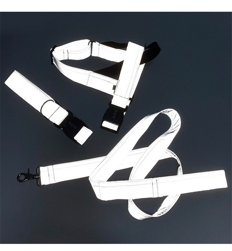Țesătură reflectorizantă de modă, 3,8 cm, guler personalizat pentru câini, guler luminos, 150 cm, plumb pentru câini, set de guler și lesă pentru câini din nailon Nou-2020