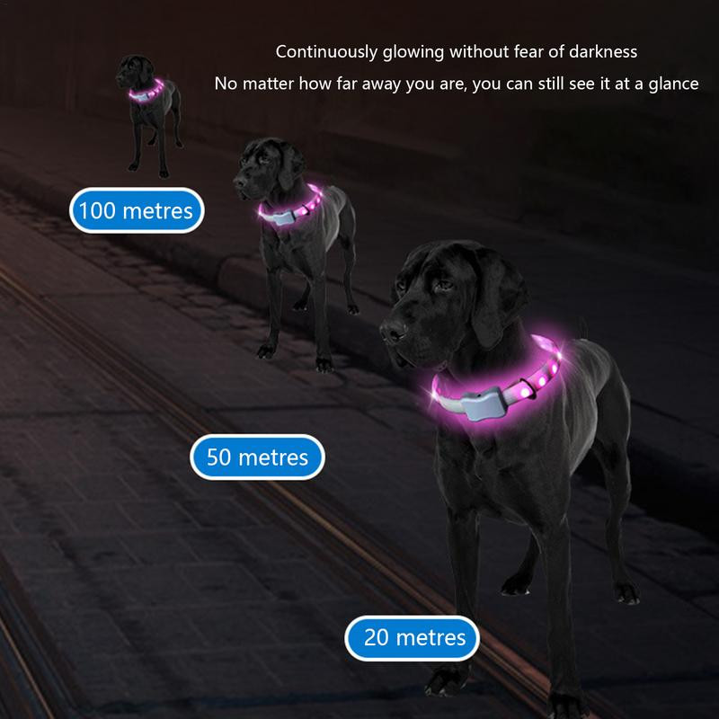 LED hõõguv koera kaelarihm öine kaotsiminekuvastane koeravalgusti rakmed Veekindel Lõikatav Valgustatav Koerte kaelarihmad koeratooted Aksessuaarid