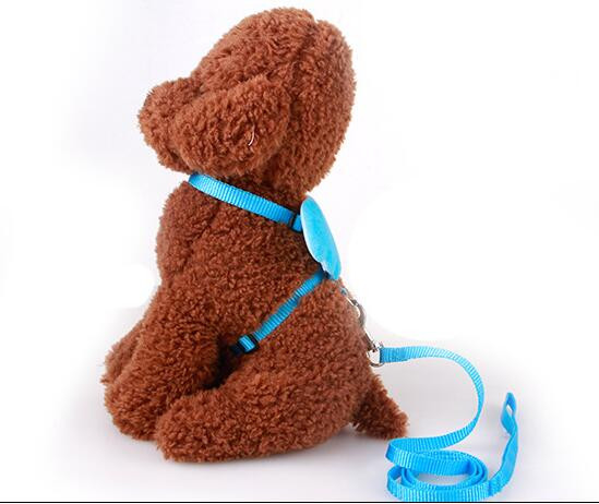 Σετ λουριών 2021 Dog Leads Χαριτωμένο νάιλον άγγελος για γάτα Καλοκαιρινό περπάτημα υπαίθριο καραμέλα Χρώμα Chihuahua λουριά Προϊόντα για κατοικίδια