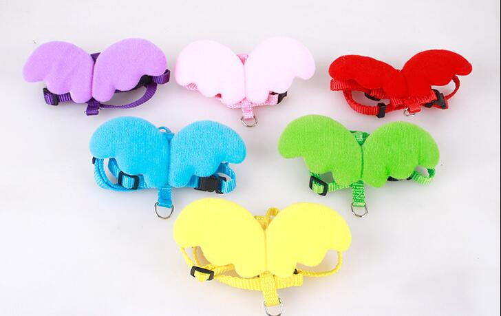 Σετ λουριών 2021 Dog Leads Χαριτωμένο νάιλον άγγελος για γάτα Καλοκαιρινό περπάτημα υπαίθριο καραμέλα Χρώμα Chihuahua λουριά Προϊόντα για κατοικίδια