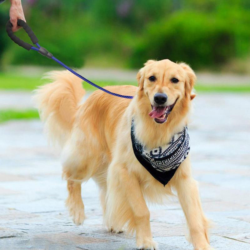 Ισχυρό νάιλον Λουρί Σκύλου Λαμπραντόρ Γαλλικό Μπουλντόγκ Λουρί Λουριά Εκπαίδευση Λουρί Βαρέων Καθηκόντων Λουριά Ασφαλείας Σχοινιά 150cm