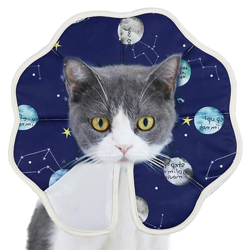 Κολάρο προστασίας κατοικίδιων ζώων Άβολο μαλακό κολάρο γάτας Ελισαβετιανό αναπνεύσιμο για σκύλους και γάτες Προστατευτικό κολάρο ανάκτησης κώνου