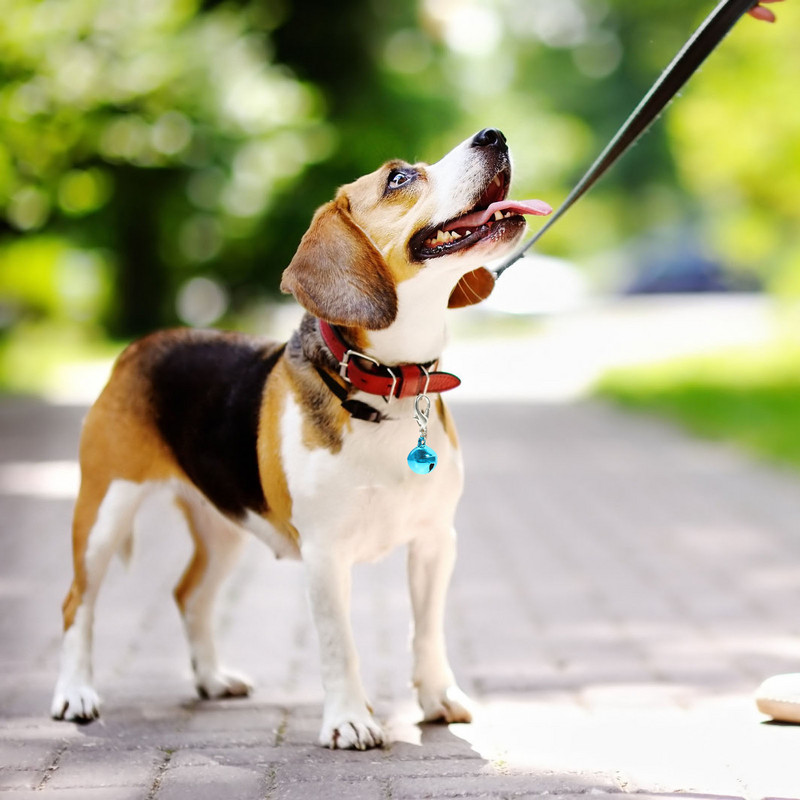 10 buc. zgarda pentru animale de companie Mini accesorii Clopoței decorative pentru pisici din metal