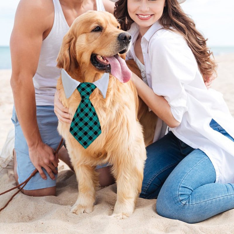 1buc papion pentru câine cravată pentru cățel și pisicuță, guler cu stea în dungi, produs manual pentru pisică, accesorii pentru cățeluș