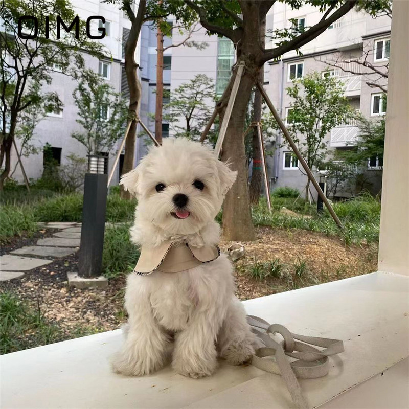 OIMG Toamnă Iarnă Câini de talie mică Jucător de vânt haine în carouri cu frânghie de tracțiune Top tank pentru animale de companie Manta schnauzer de pluș maltez