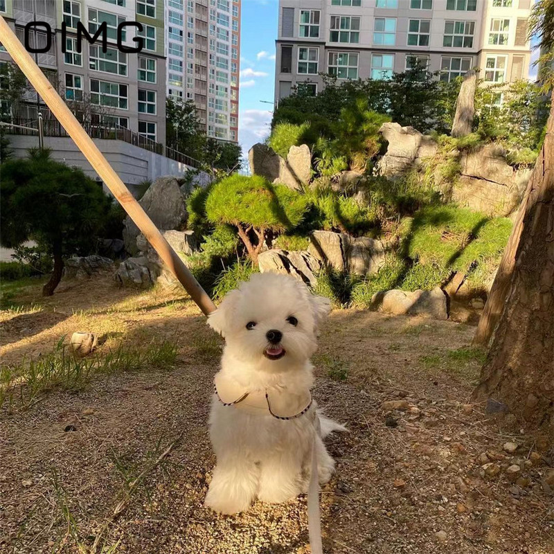 OIMG Toamnă Iarnă Câini de talie mică Jucător de vânt haine în carouri cu frânghie de tracțiune Top tank pentru animale de companie Manta schnauzer de pluș maltez