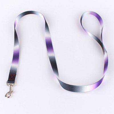 Lemmiklooma koera kaelarihma ja jalutusrihma komplekt Nailonist värvi gradiendiga reguleeritav kaelarihm suurele keskmisele väikesele koerale, lemmikloomatarvete tarvikud
